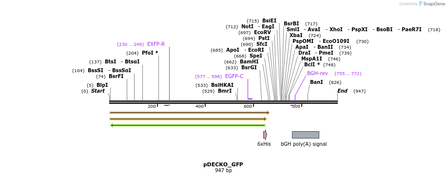 274990_map