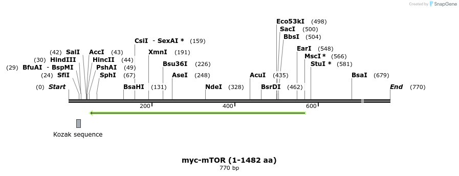 27500_map