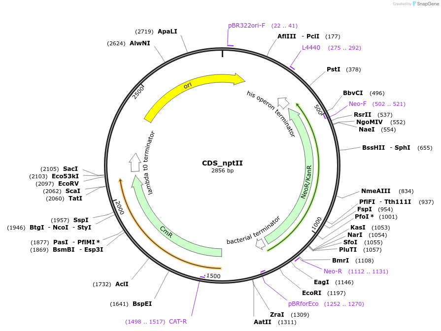 275001_map