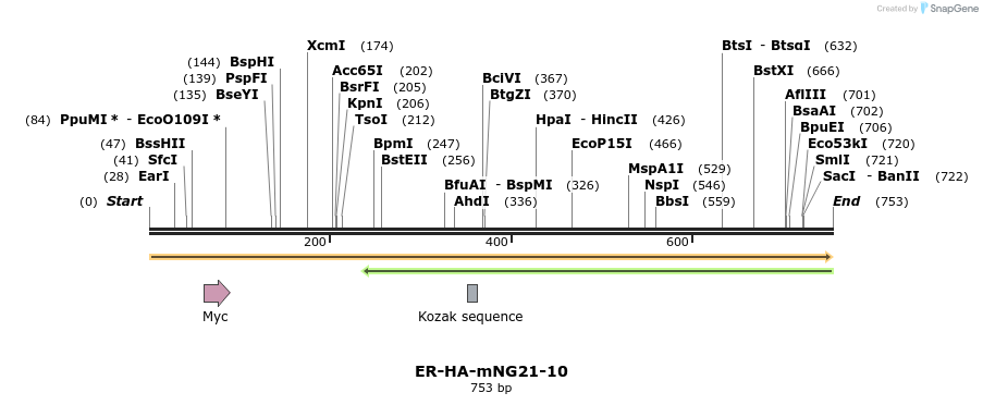 275026_map