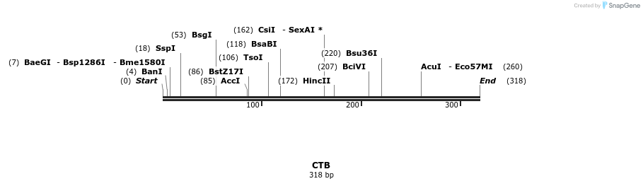 275047_map