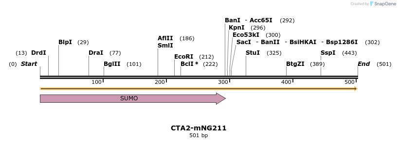 275054_map