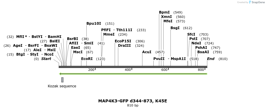 27509_map