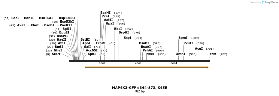27510_map