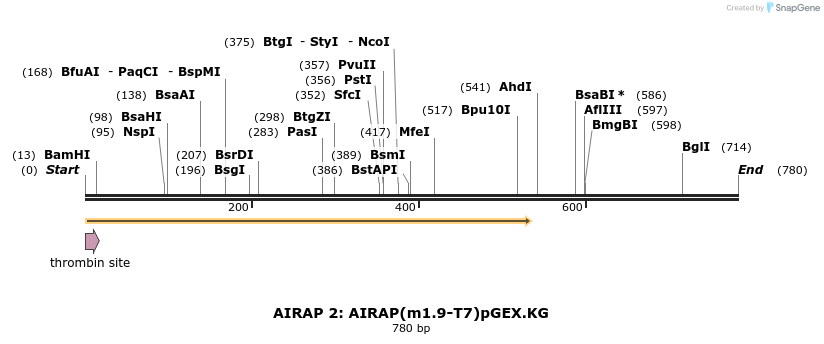 27513_map