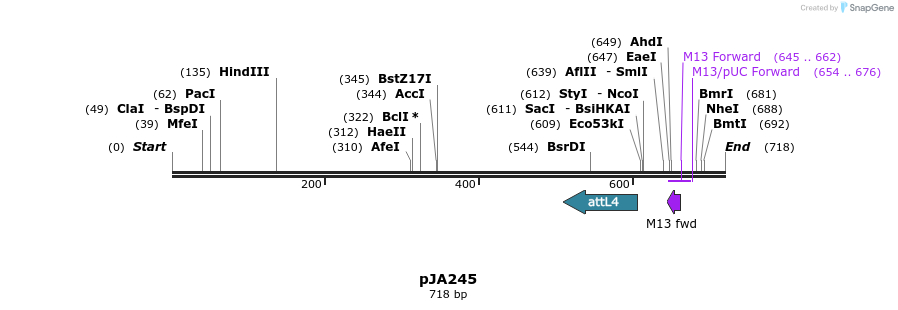27515_map