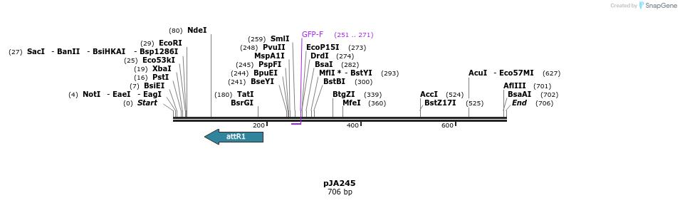 27516_map