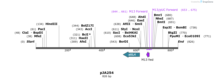 27517_map