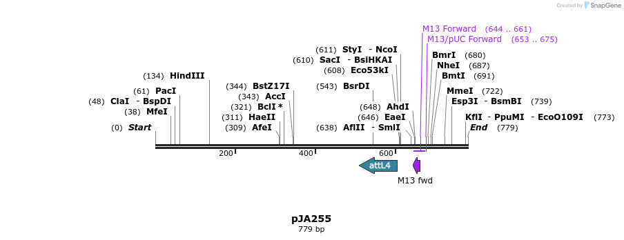 27519_map