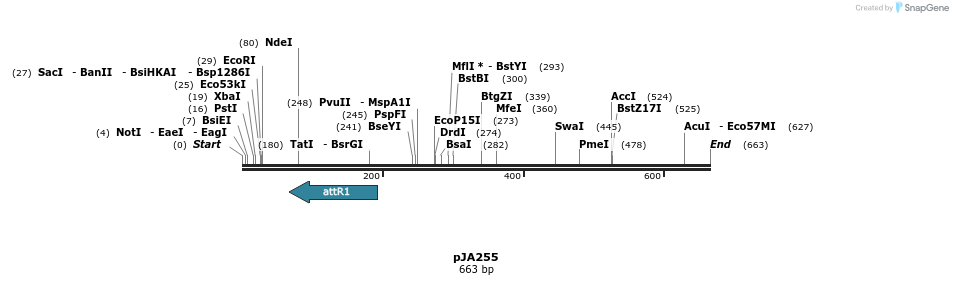 27520_map