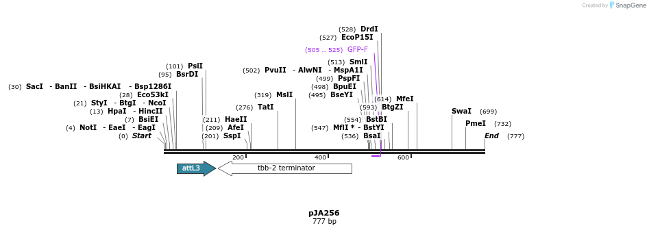 27521_map