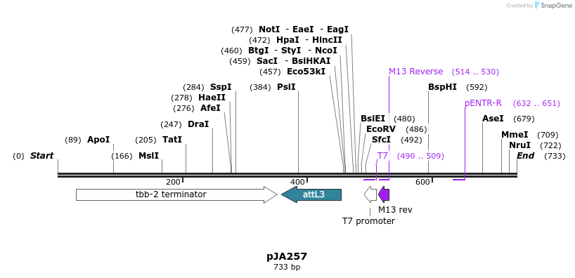 27522_map