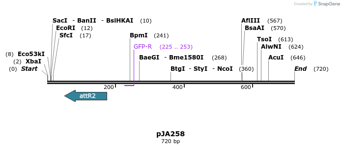 27524_map