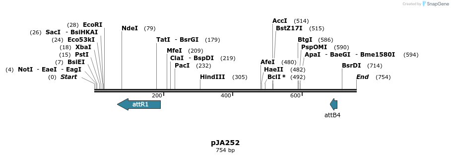 27525_map