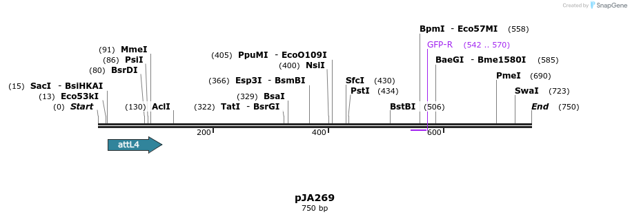 27526_map