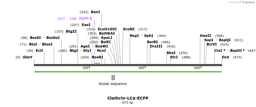 27528_map
