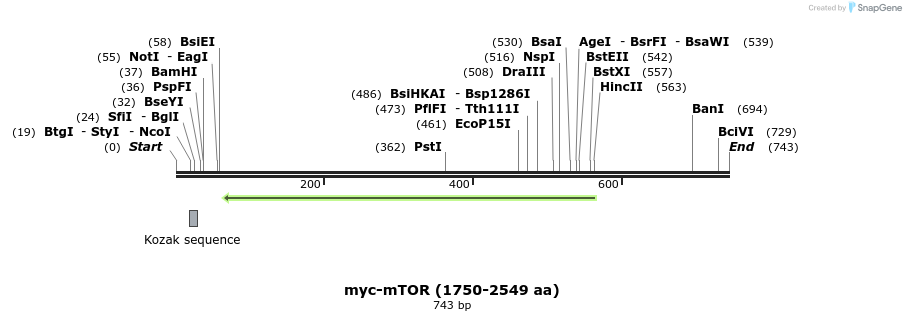 27529_map