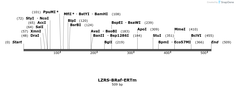 27532_map