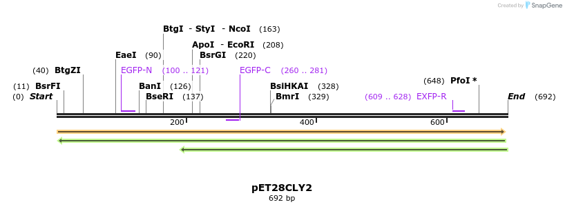 27537_map