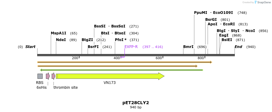 27538_map