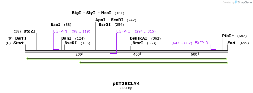 27541_map