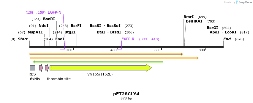 27542_map