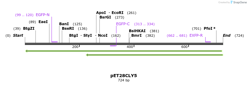 27543_map