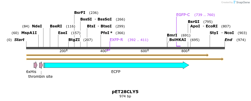 27544_map