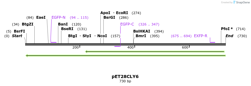 27545_map