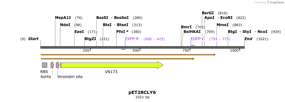 27546_map