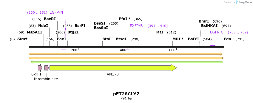 27548_map