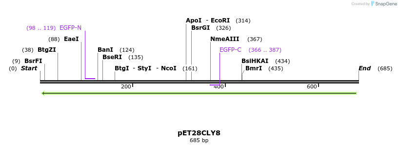 27549_map