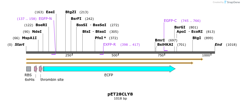 27550_map