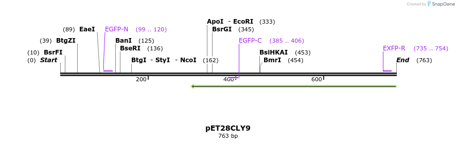 27551_map