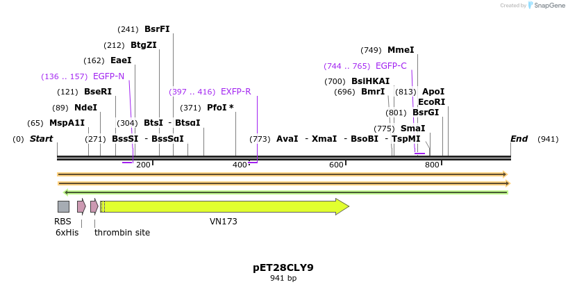 27552_map