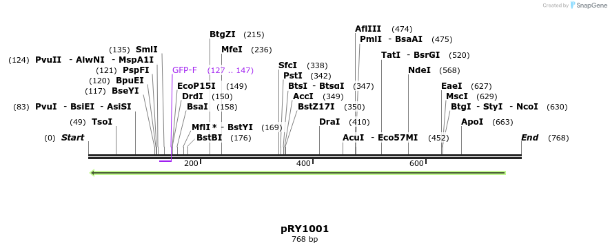 27553_map