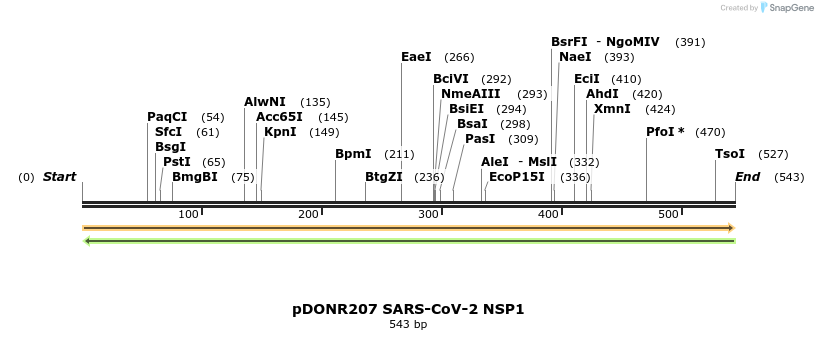 275536_map