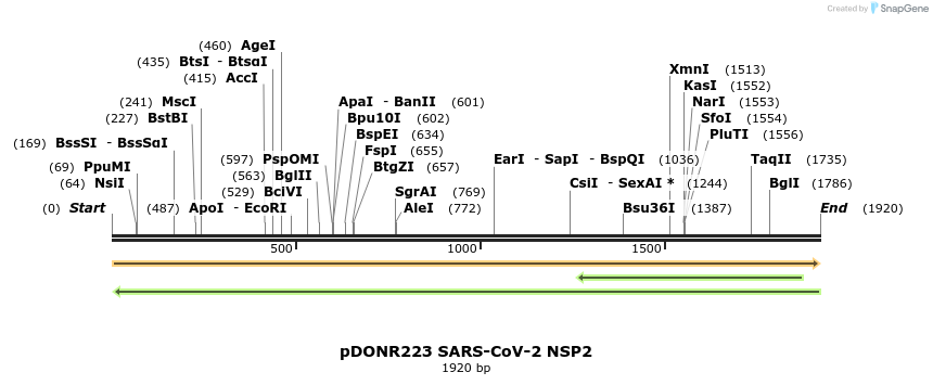275537_map