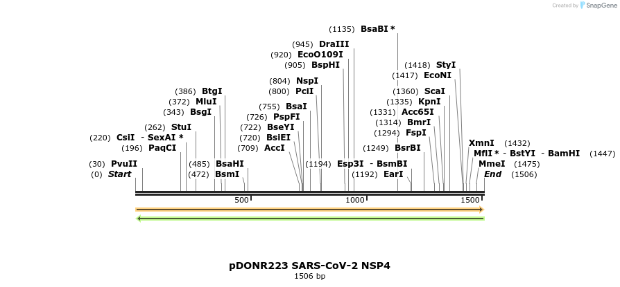 275539_map
