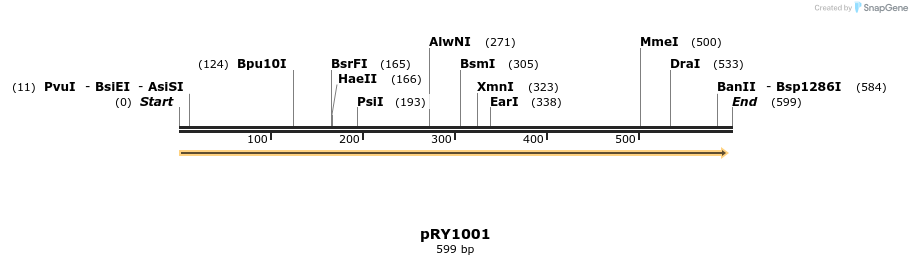 27554_map