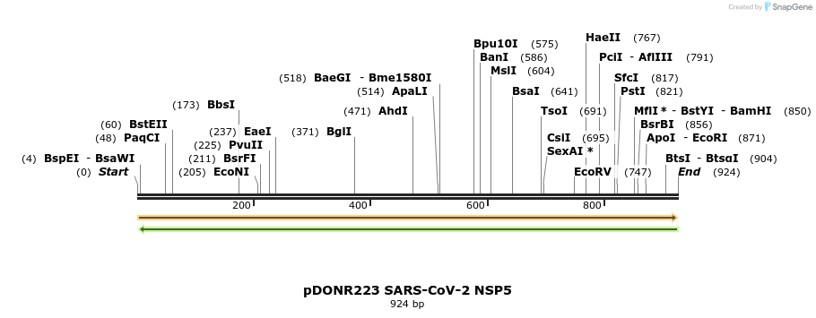 275540_map