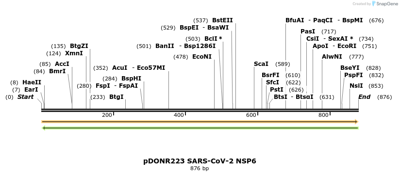 275541_map