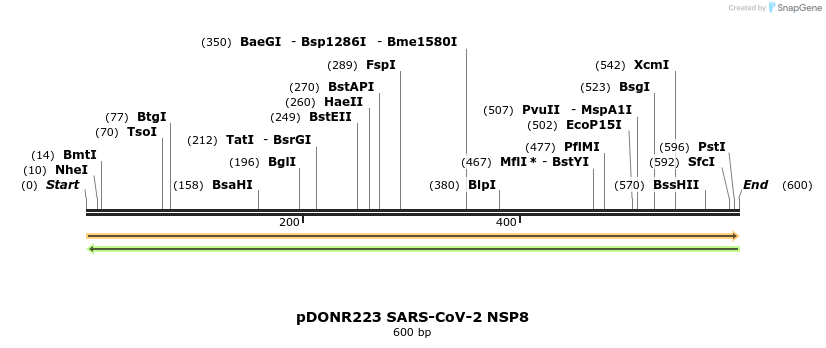275543_map