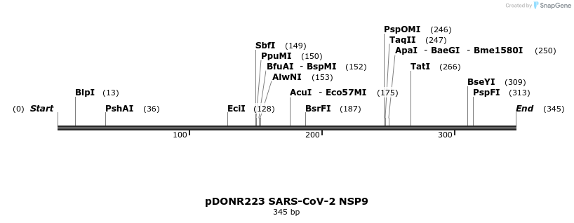 275544_map