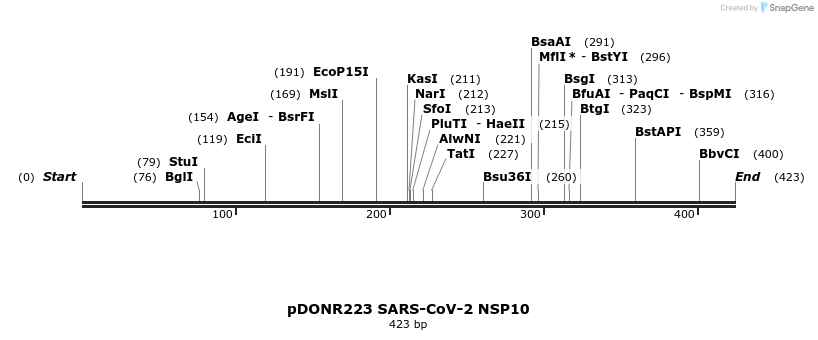 275545_map