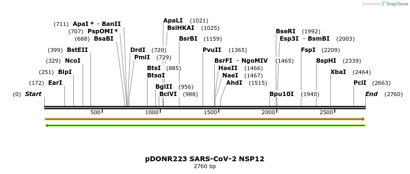 275546_map