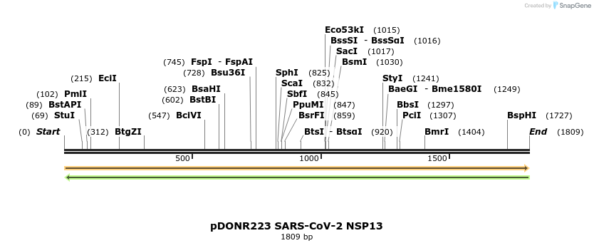 275547_map