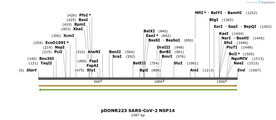 275548_map