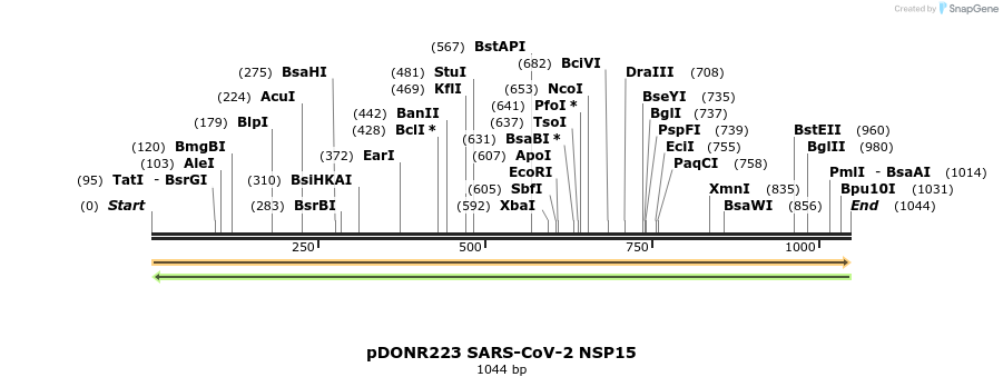 275549_map