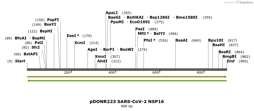 275550_map